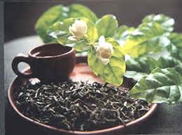 Kỹ thuật sản xuất chè đen