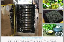 Máy sấy tủ sấy chè thảo dược thủy hải sản