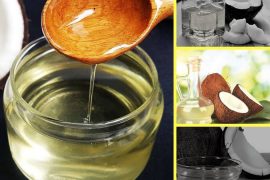 Máy ép dầu thực vật có thể ép những loại nguyên liệu nào?