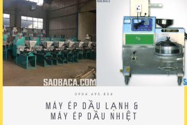 Những thông tin cần thiết trước khi đầu tư máy ép dầu công nghiệp
