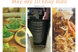 Máy sấy khô lá cây, thảo dược, thuốc nam, nông sản inox