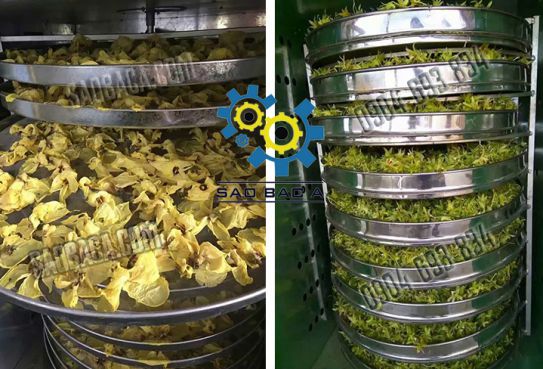 máy sấy chè giữ hương