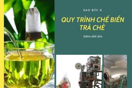 Tìm hiểu quy trình chế biến chè và giá máy đóng gói trà chè là bao nhiêu?